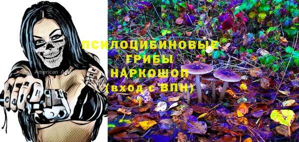 мдпв Магас