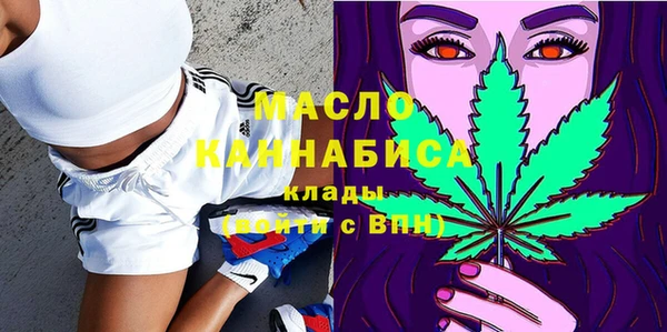 мдпв Магас