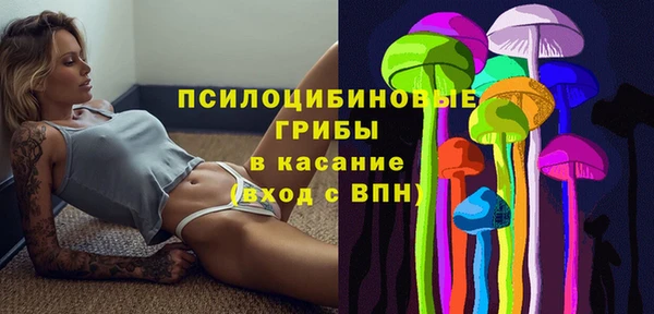мдпв Магас