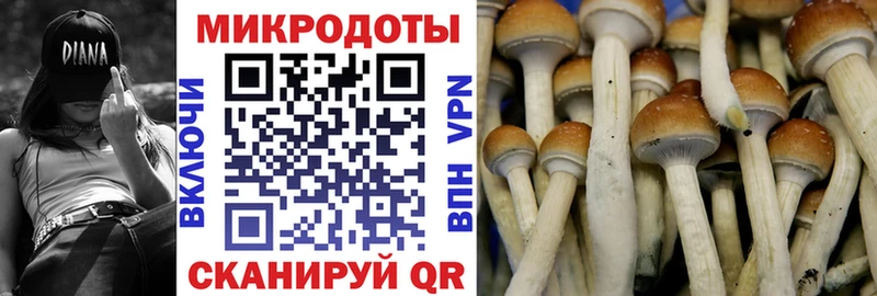 Галлюциногенные грибы прущие грибы  Купить закладки  Малая Вишера 