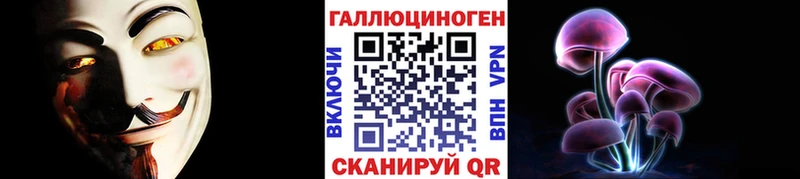 Галлюциногенные грибы Psilocybe Малая Вишера